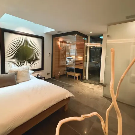 Kitz Deluxe Suite 1 & 2 Im Zentrum Mit Eigenem Spa & Parken By Belle-Stay Kitzbuhel Exterior photo